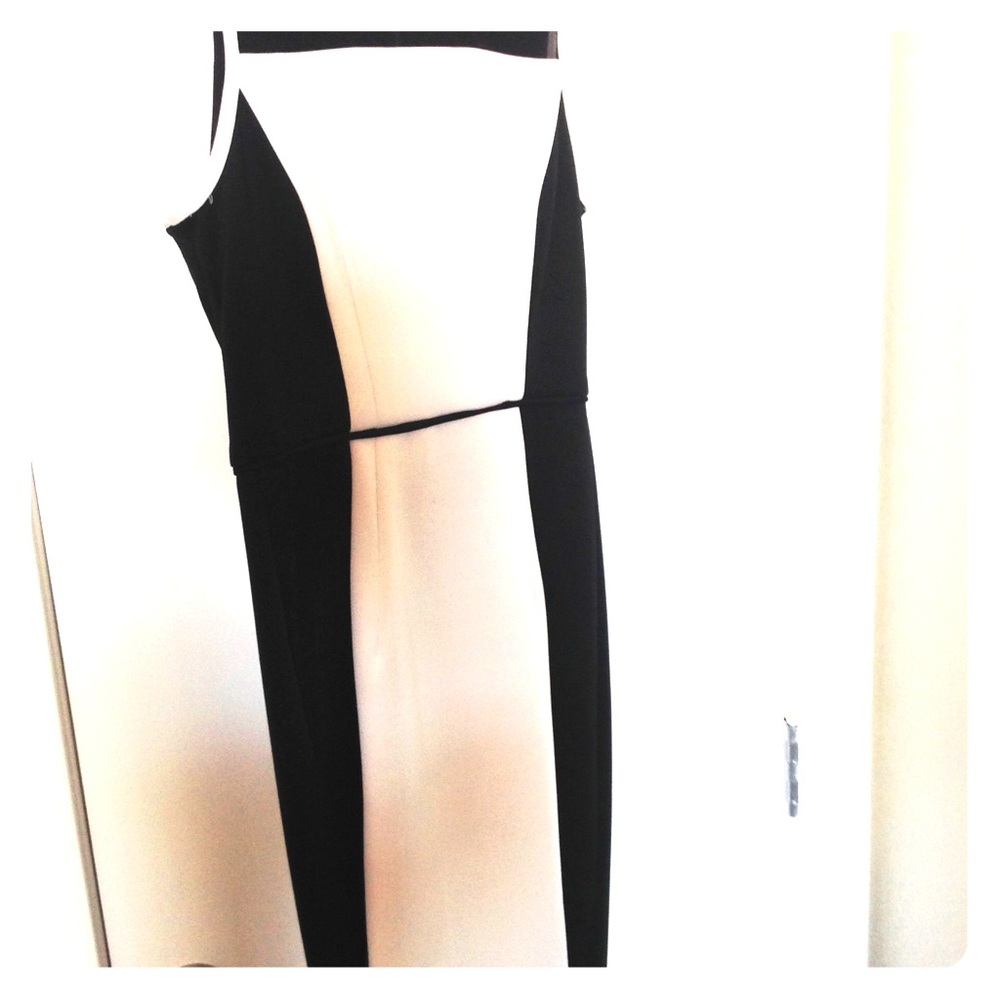 Black and Tan Sleeveless Dress.